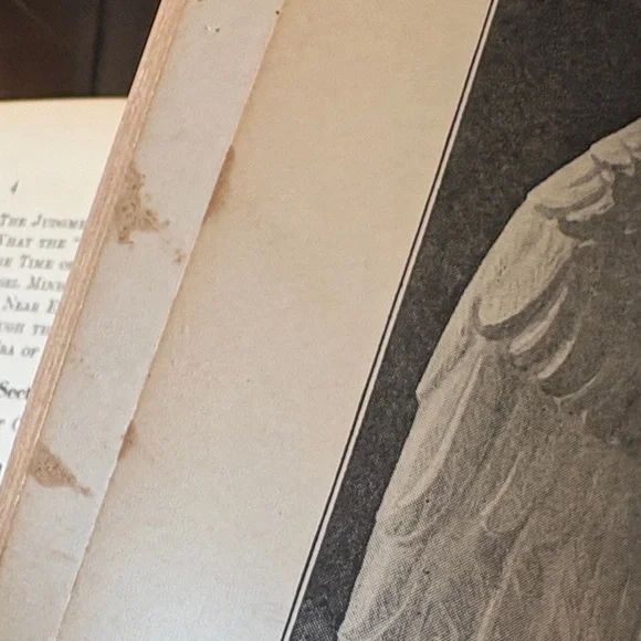 Beacon Lights of Prophecy Decorative Red Hardcover Book - Picture 11 of 16